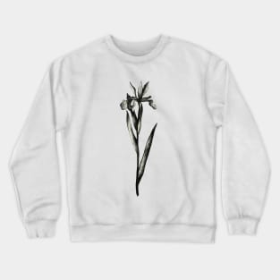 Iris Crewneck Sweatshirt